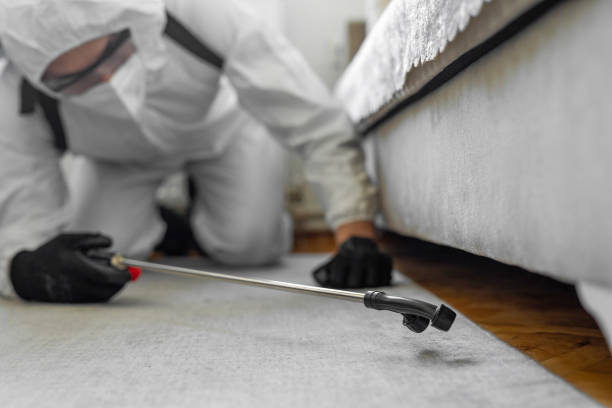 Professional Bed Bug Control technician working in Cooper City, FL